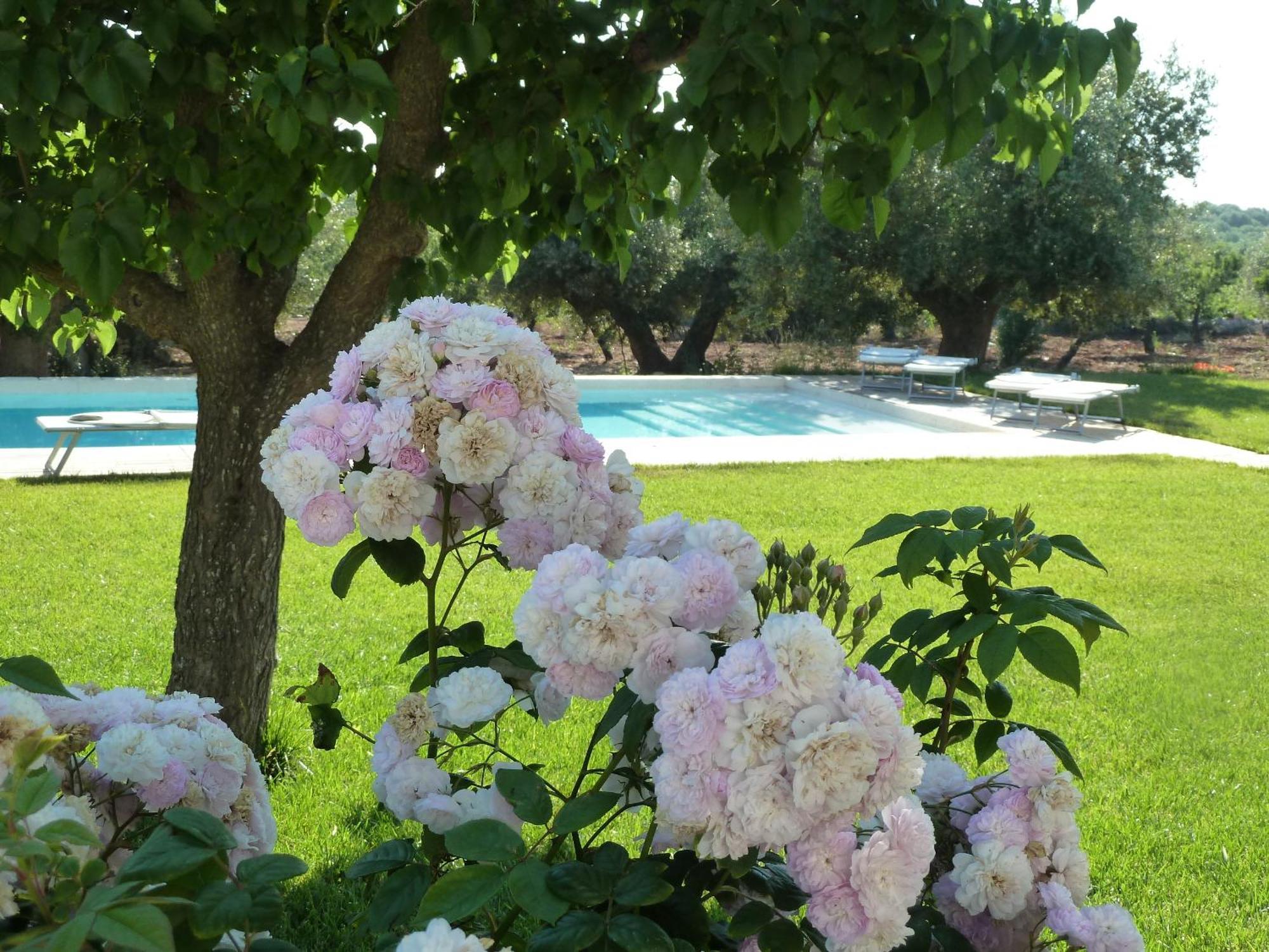 B&B Don Giovanni โมโนโปลี ภายนอก รูปภาพ